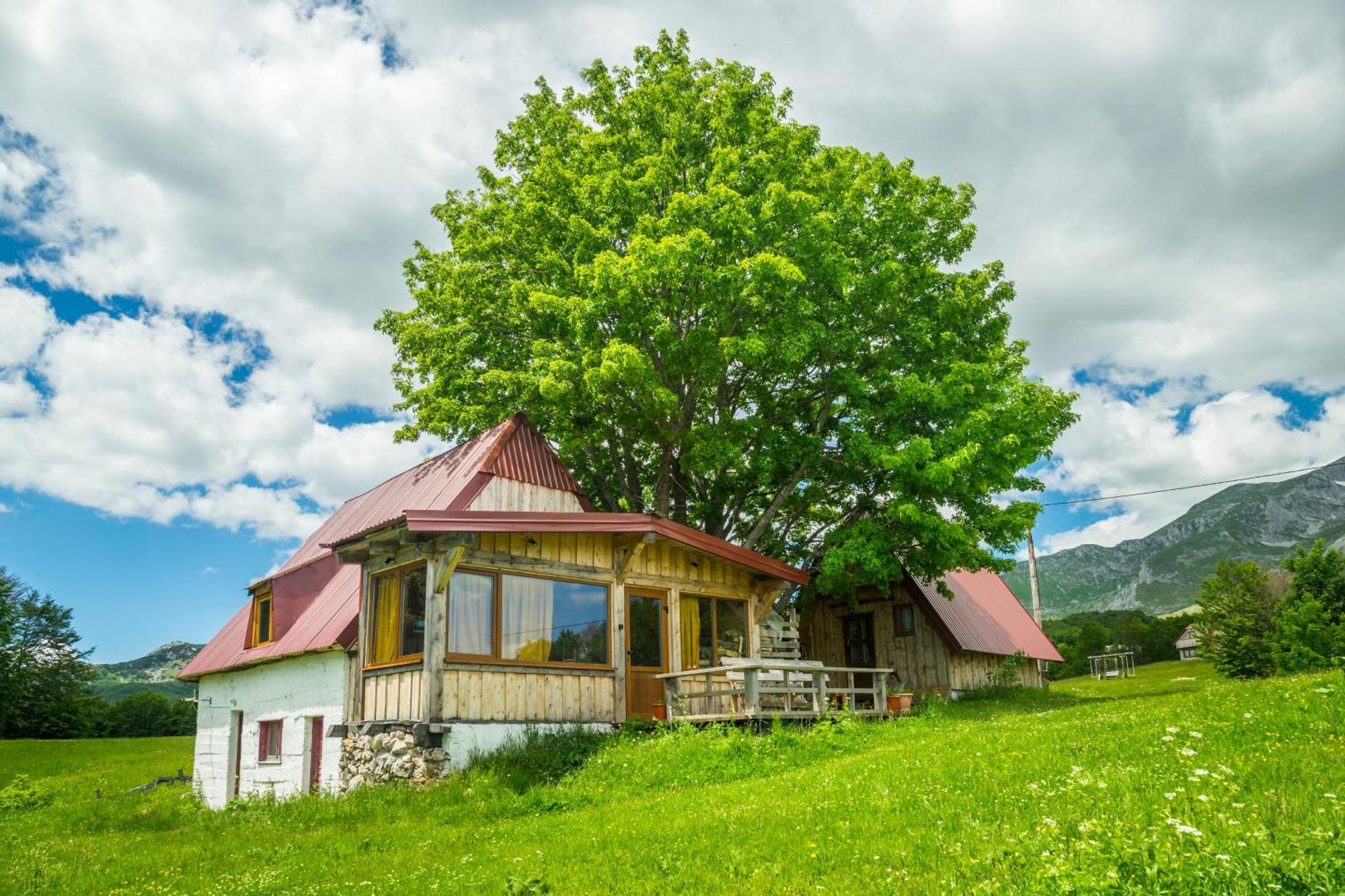 Maple Village Жабляк Экстерьер фото